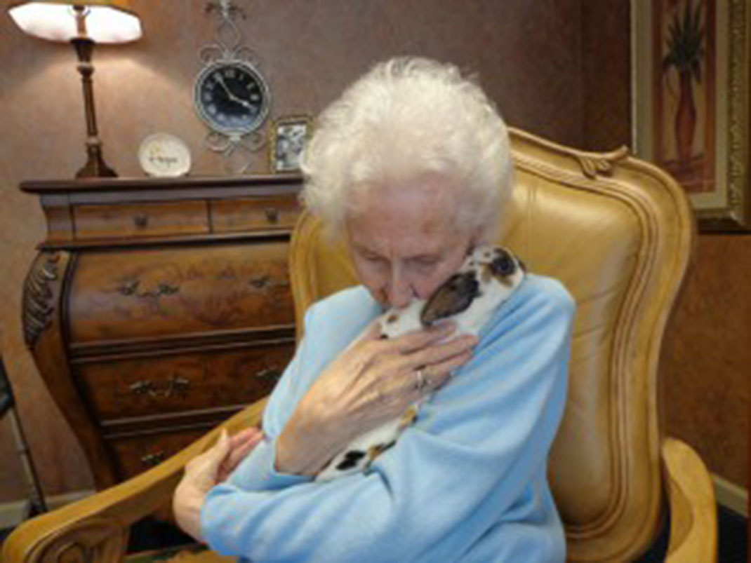 12-bunnytherapy-aplaceformon