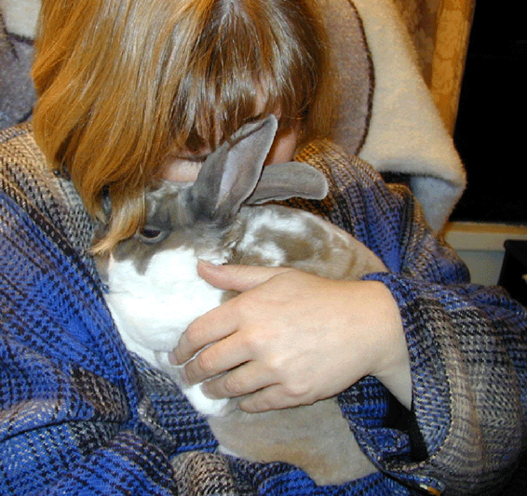 13-bunnytherapy-therabbithaven