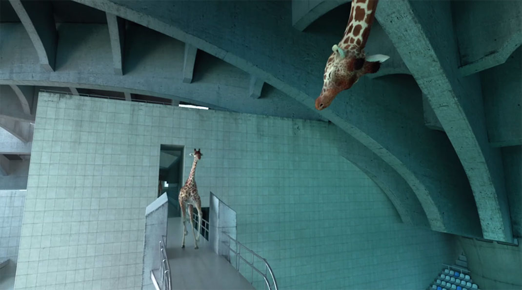 13-coursetete-Nicolas-Deveaux