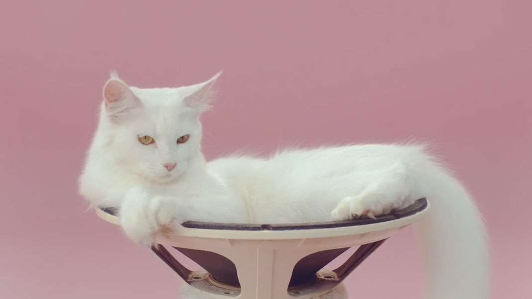 13-court-metrage-manon