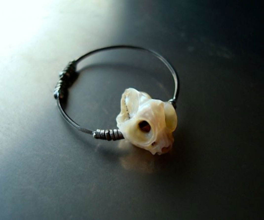 14-craneanimal-shinjinakaba