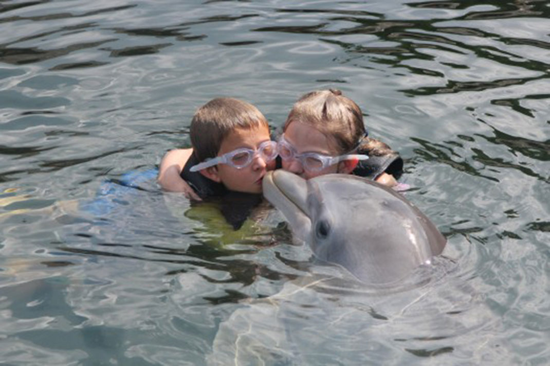 14-dolphintherapy-islanddolphincare