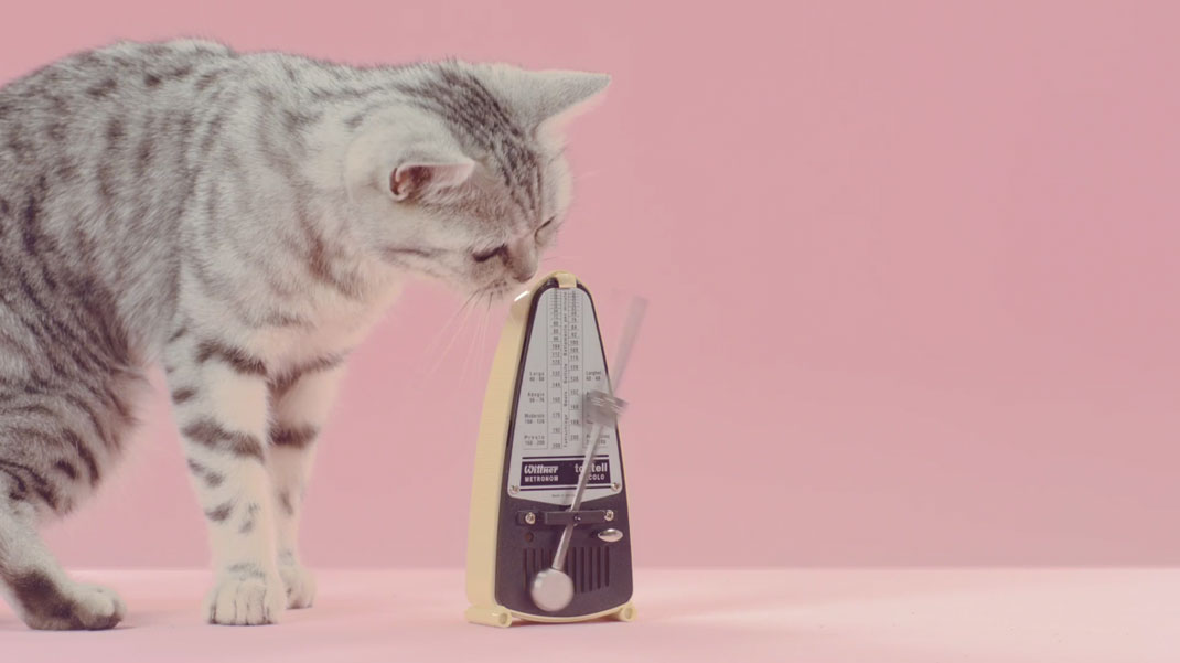 15-court-metrage-manon