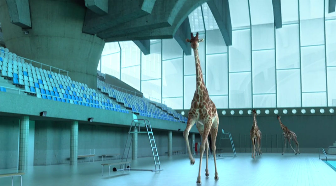 15-retour-Nicolas-Deveaux