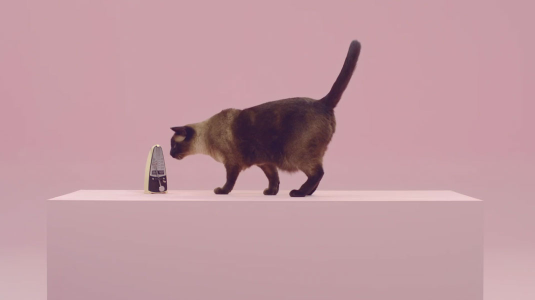 16-court-metrage-manon