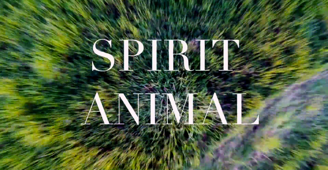 2-court-metrage-spirit