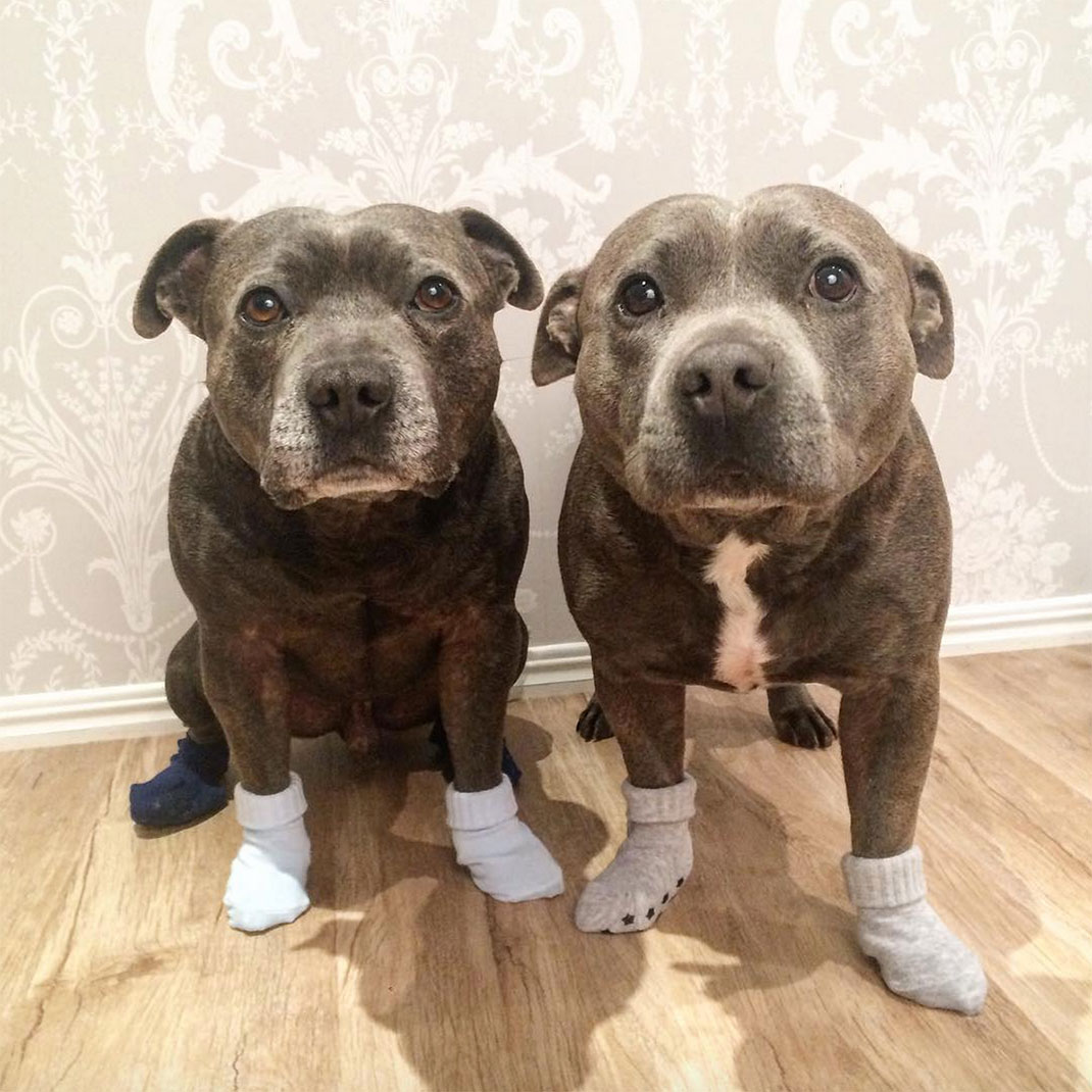 20-the_blueboys-chaussettes