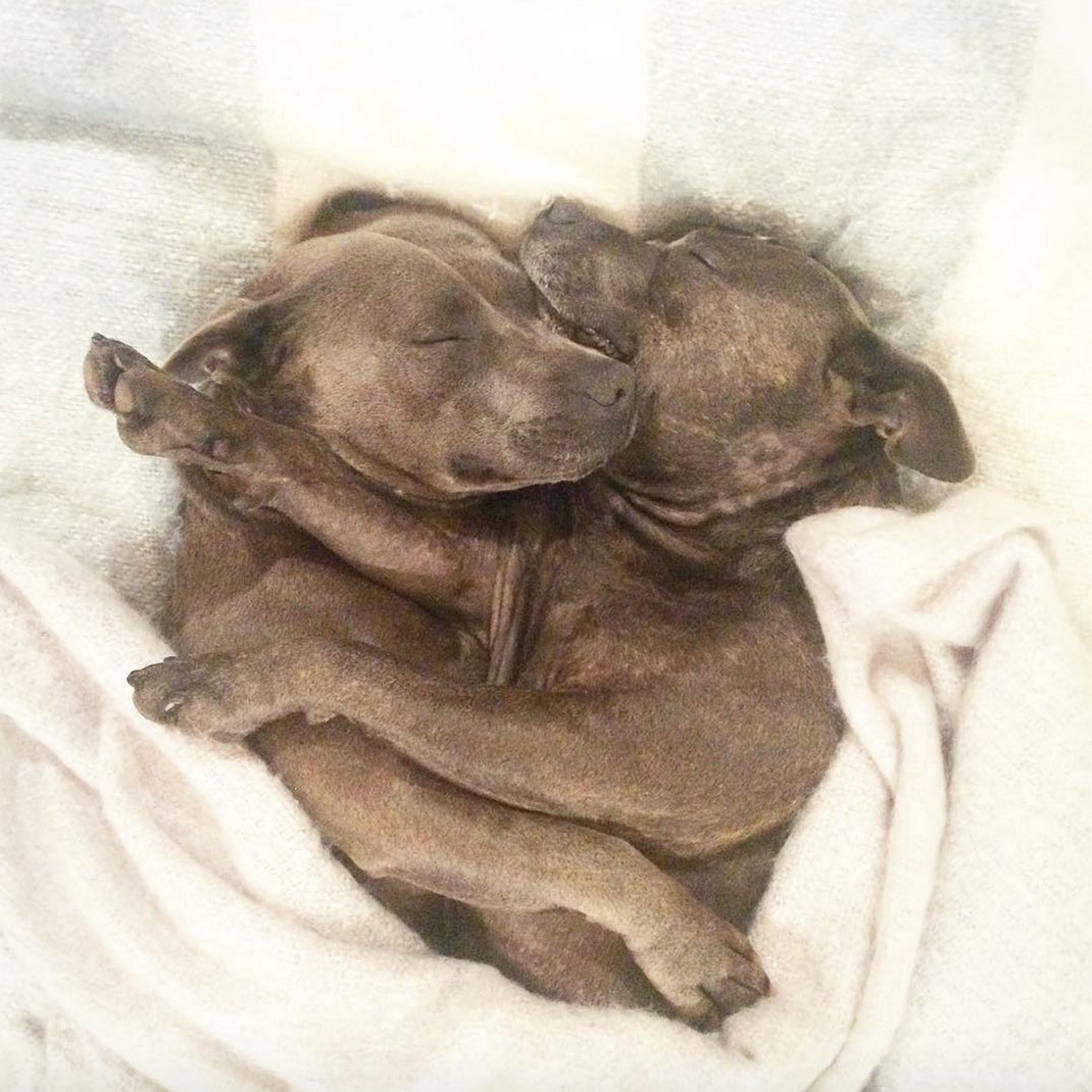 21-the_blueboys-calins