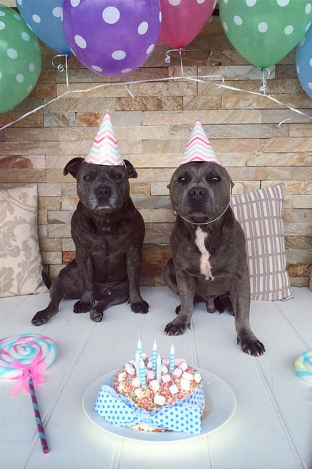 22-the_blueboys-anniversairegateau