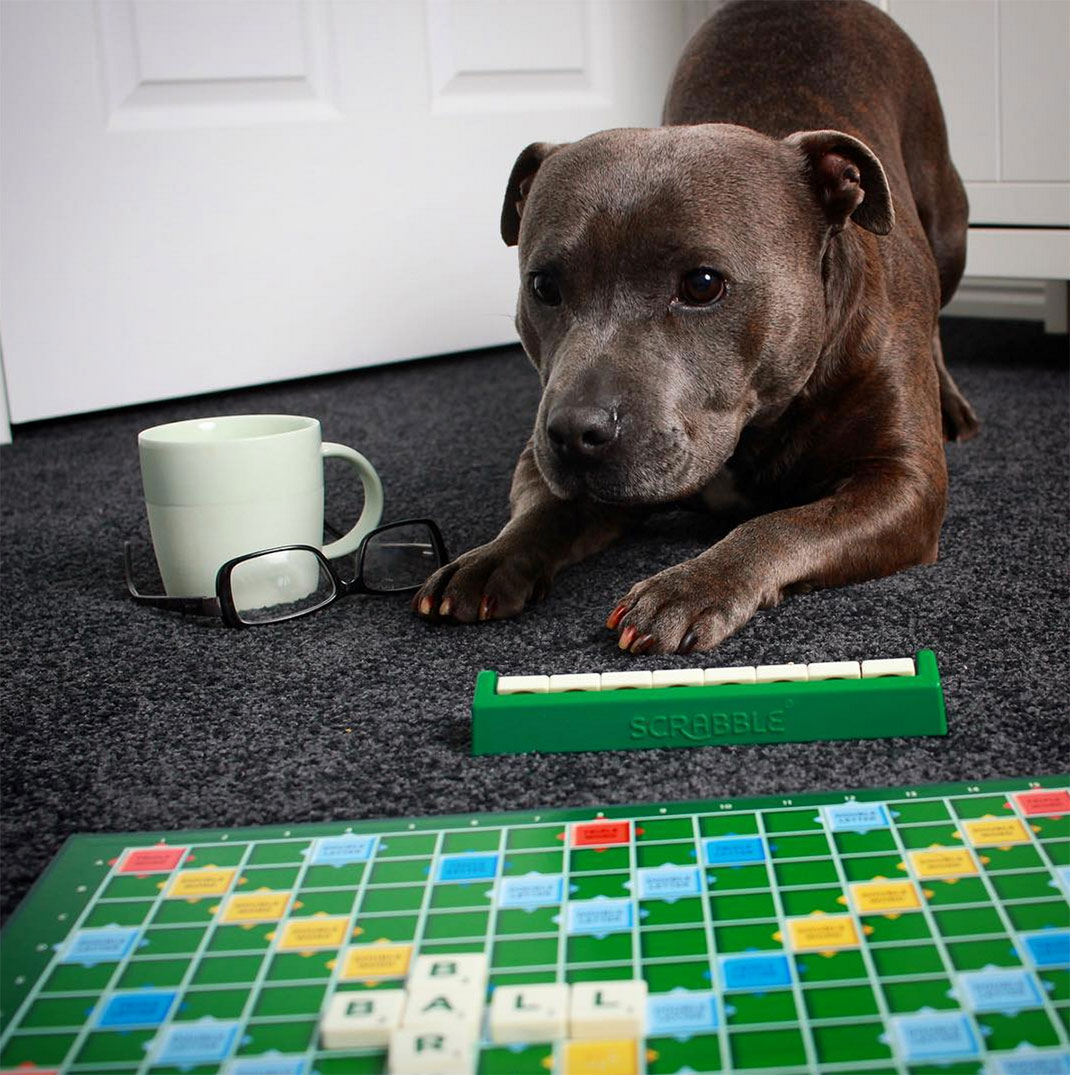 24-the_blueboys-scrabble