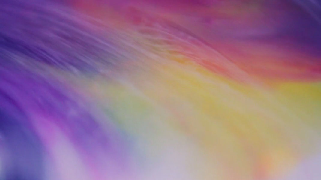 25-court-metrage-colors