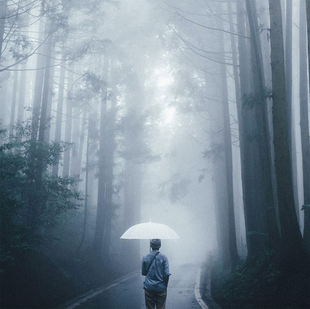 25-foretbrumeparapluie-takashiyasui