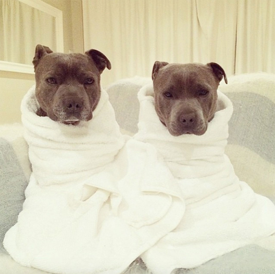 25-the_blueboys-serviettes