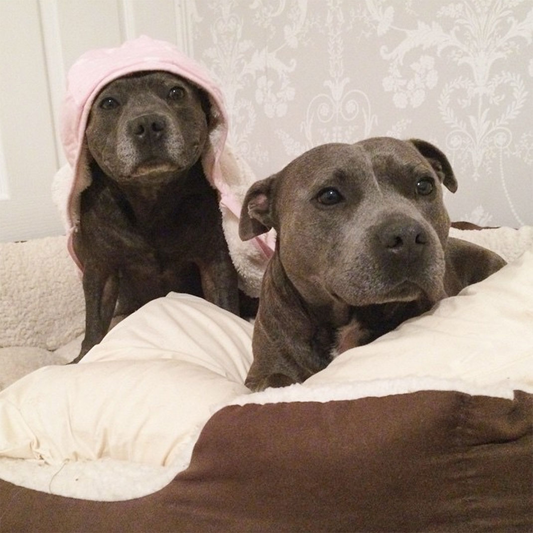 26-the_blueboys-fatigue