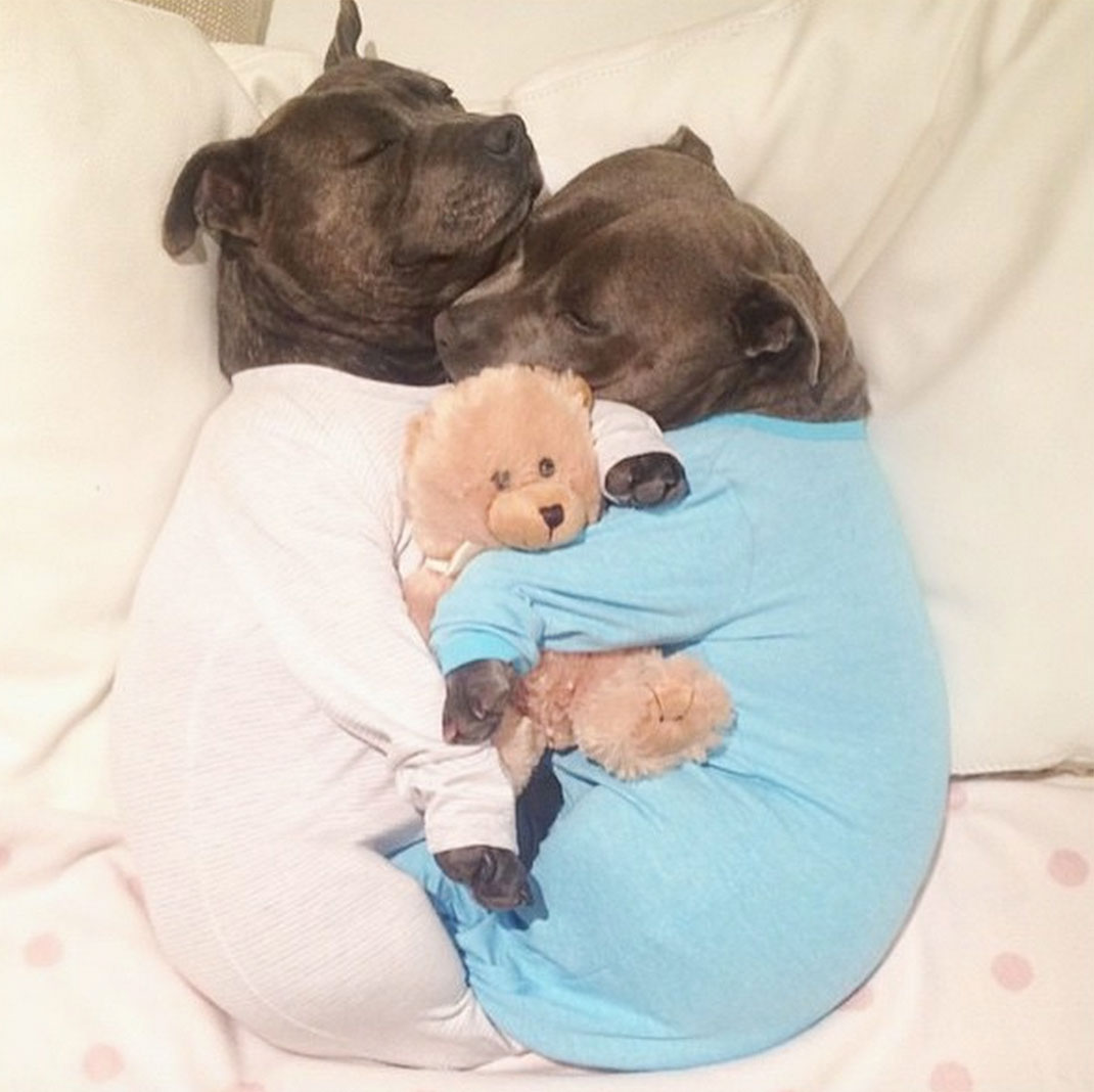 27-the_blueboys-calinnounours