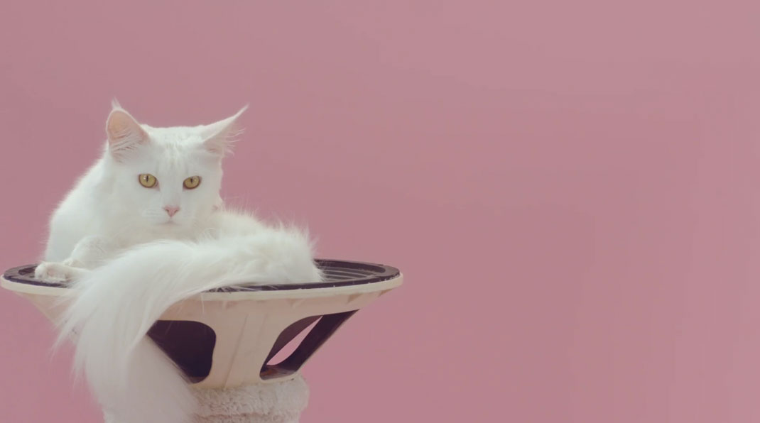 28-court-metrage-manon