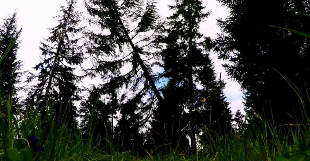 28-court-metrage-spirit