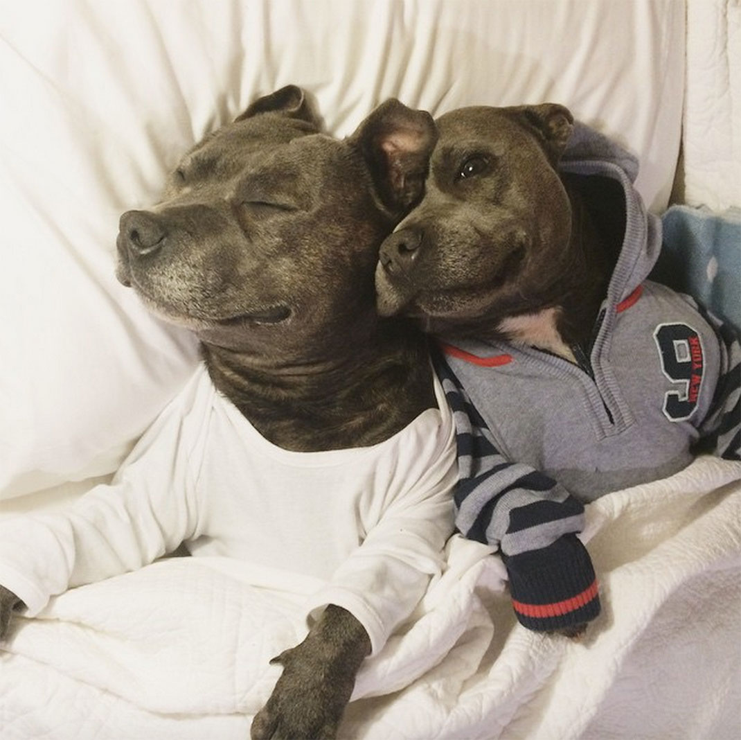 28-the_blueboys-jogging