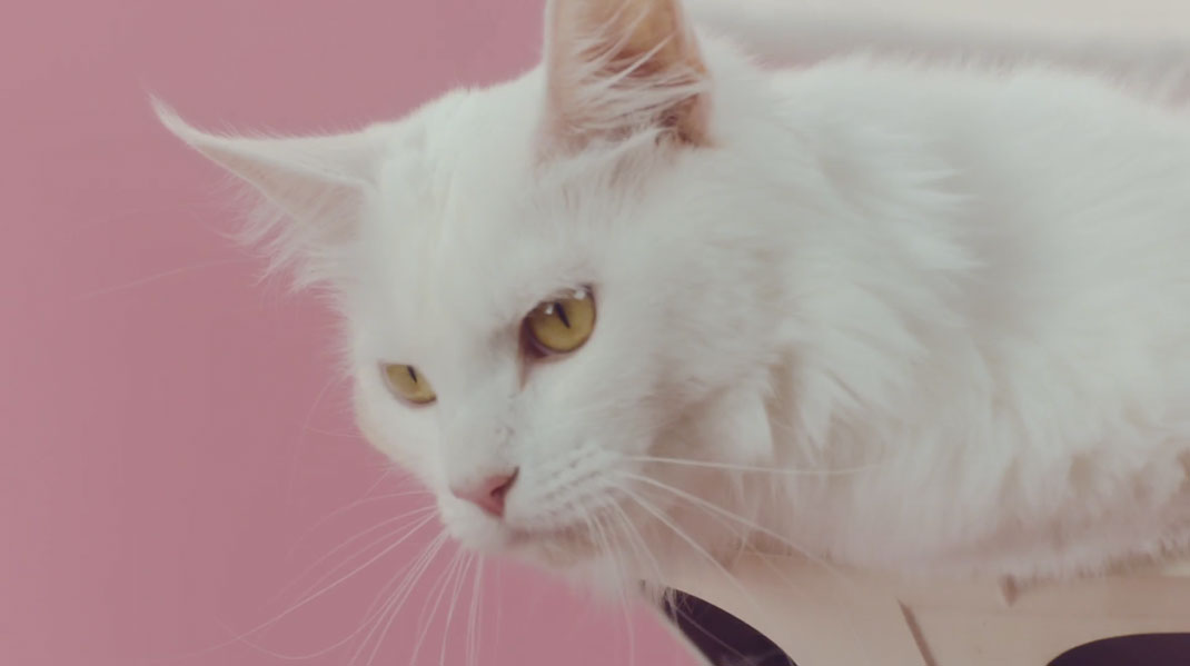 29-court-metrage-manon