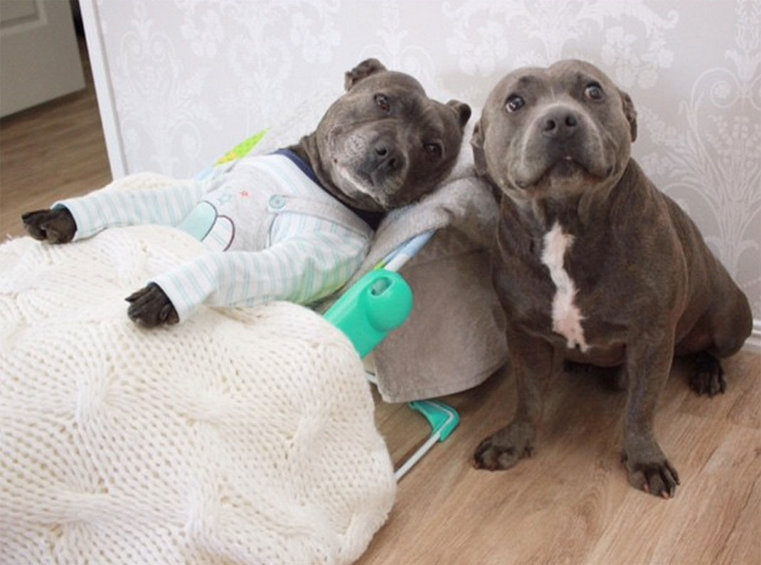 29-the_blueboys-malade