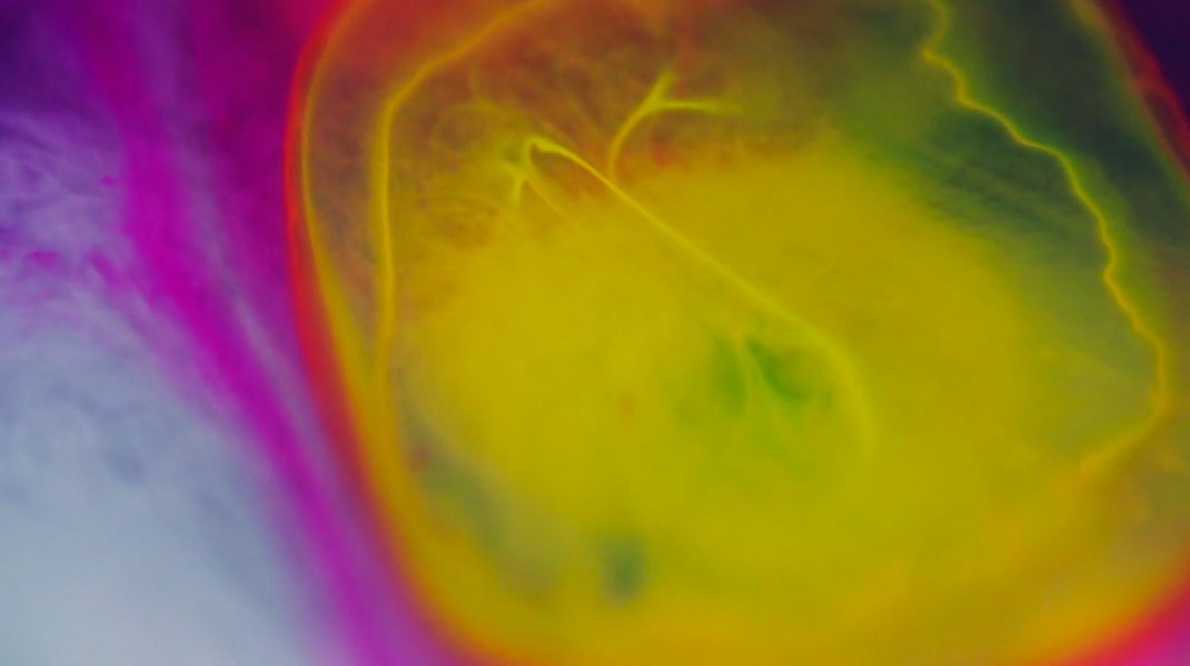 3-court-metrage-colors