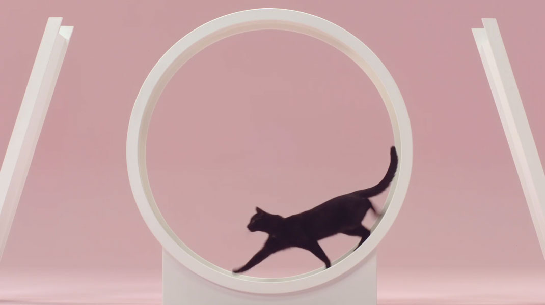 30-court-metrage-manon