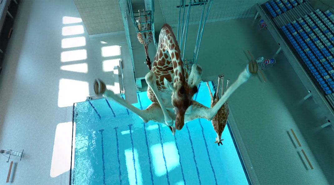 30-périlleux-Nicolas-Deveaux