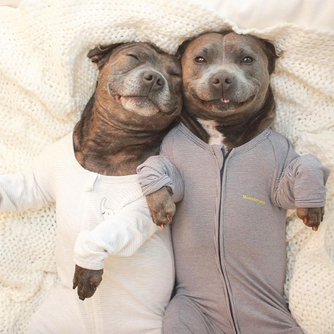 30-the_blueboys-grenouilleresouriant