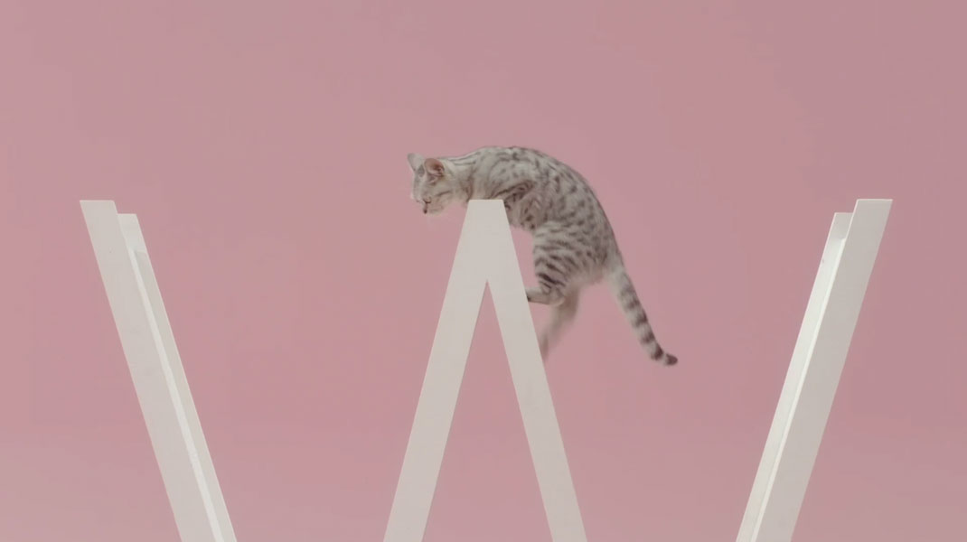 31-court-metrage-manon