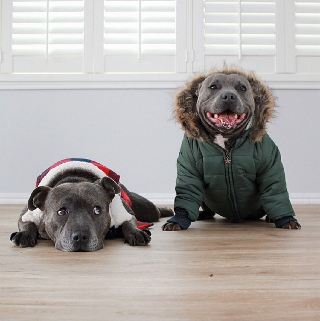 31-the_blueboys-vestesport