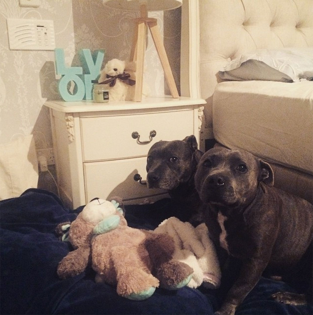 34-the_blueboys-chambre