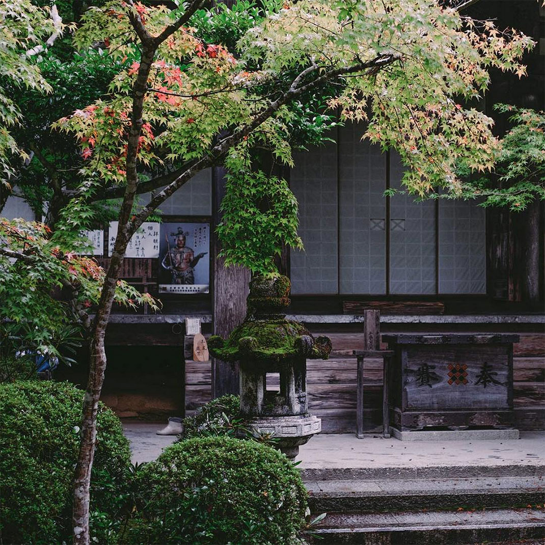 34-vegetationtemple-takashiyasui