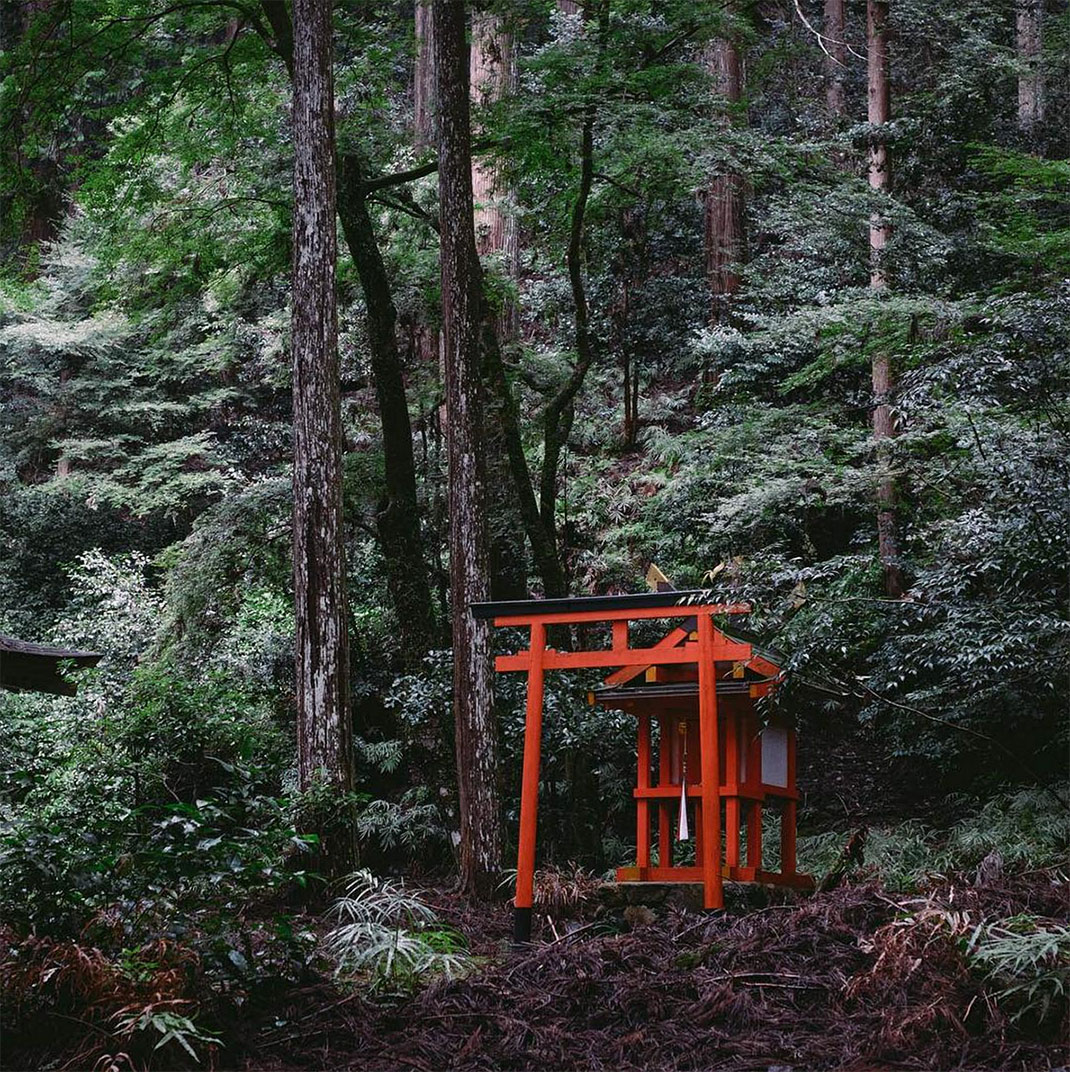 37-porterougeforet-takashiyasui