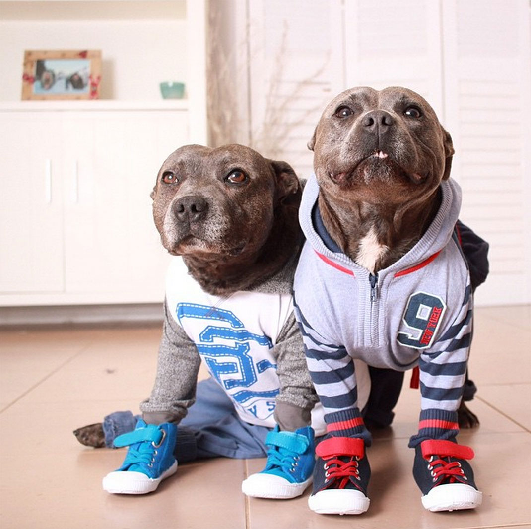 37-the_blueboys-vetementssport