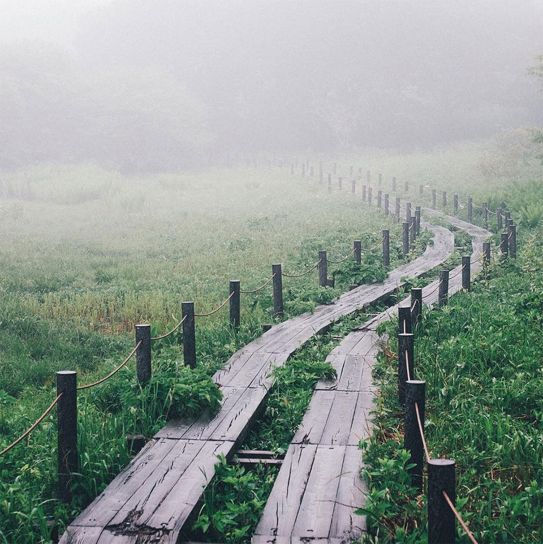 39-chemincampagne-takashiyasui