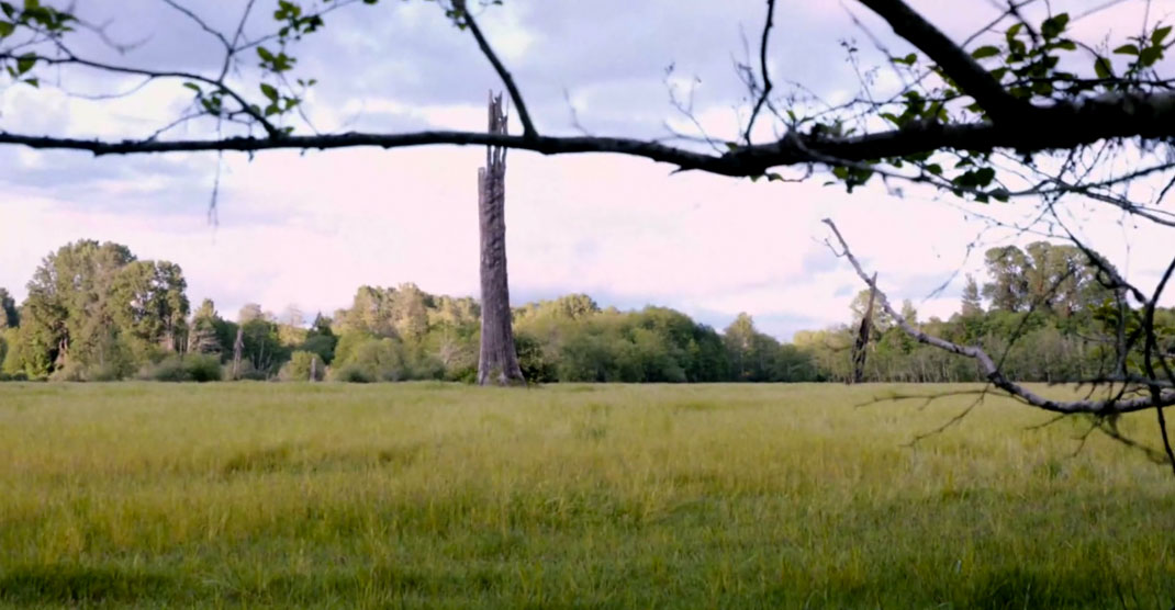 4-court-metrage-spirit