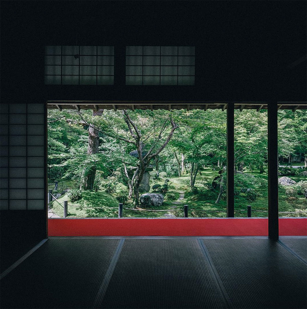 40-fenetreouverte-takashiyasui