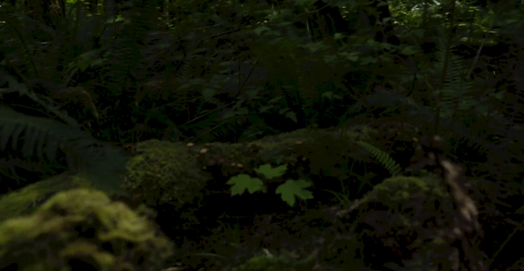 5-court-metrage-spirit