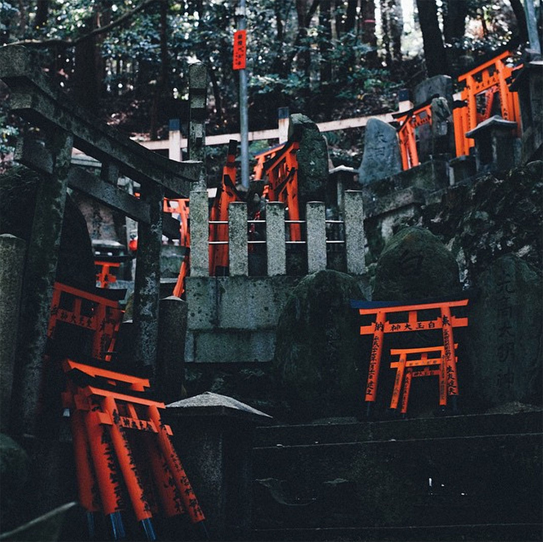 50-petitesbarrieres-takashiyasui