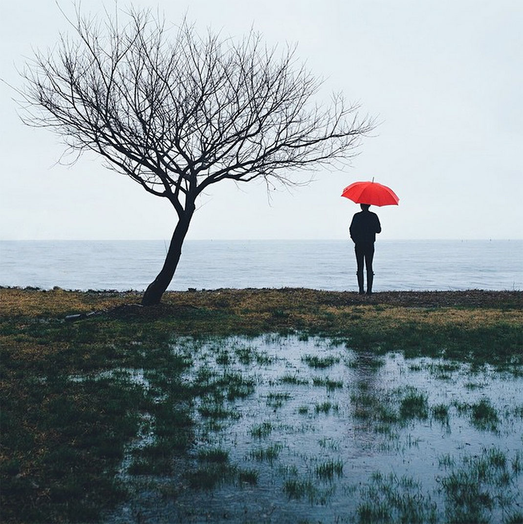 51-parapluierougearbre-takashiyasui