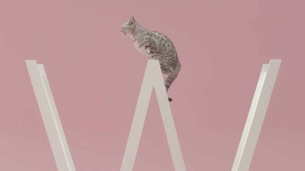 6-court-metrage-manon