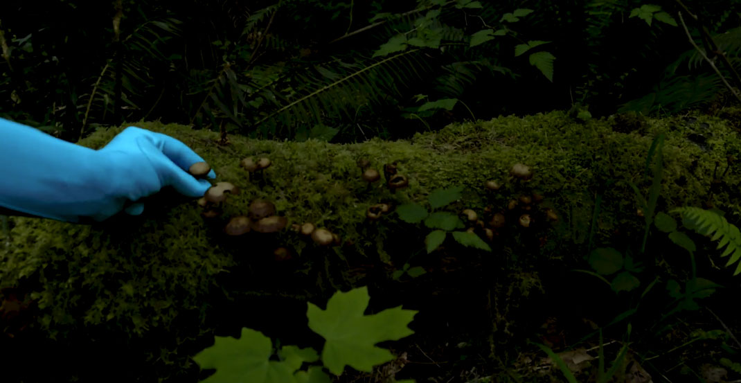 6-court-metrage-spirit