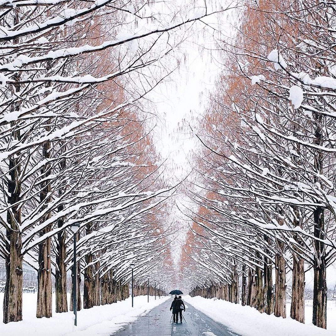 60-foretenneigee-takashiyasui