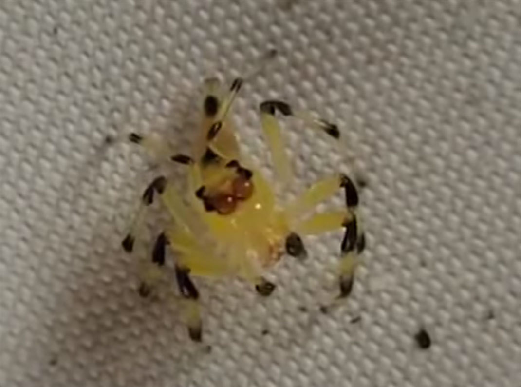 Capture-d’écran-2015-09-07-à-12.39.31