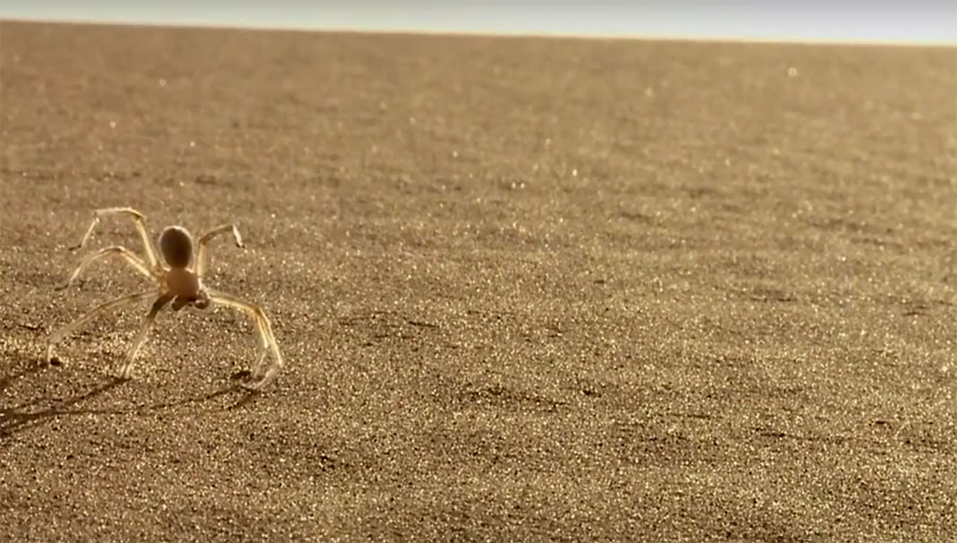 Capture-d’écran-2015-09-07-à-13.18.59