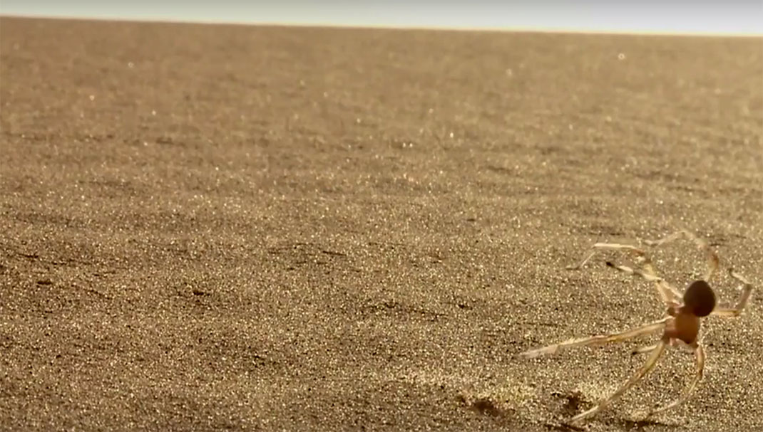 Capture-d’écran-2015-09-07-à-13.19.15