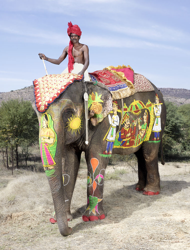 charles_freger_painted_elephant_015