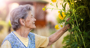 une-remedes-shutterstock