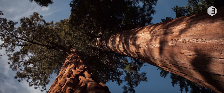 video-nord-amerique-4K-25