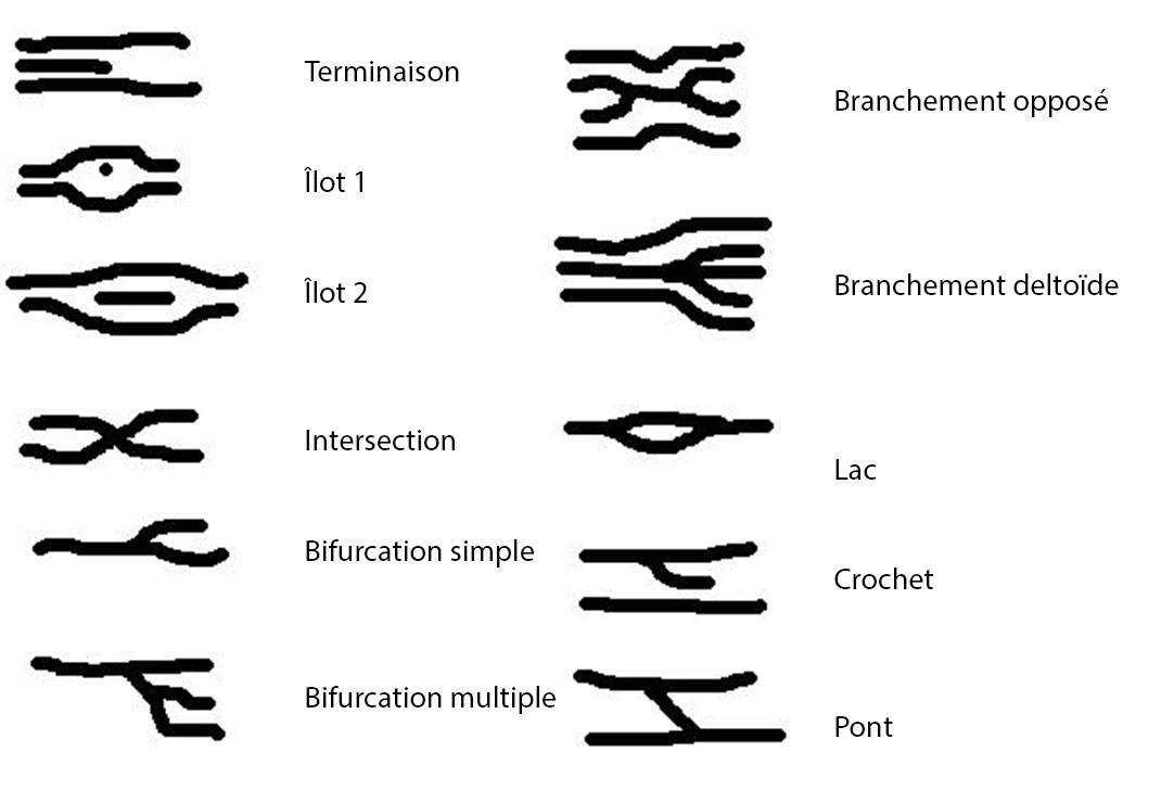 01-empreintes-Mpadowadierf